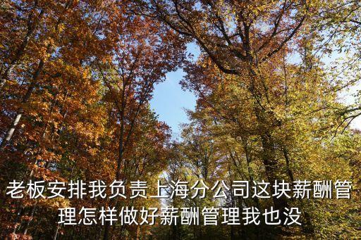上海市薪酬管理，老板安排我負責上海分公司這塊薪酬管理怎樣做好薪酬管理我也沒