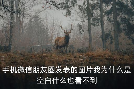 手機(jī)微信朋友圈發(fā)表的圖片我為什么是空白什么也看不到