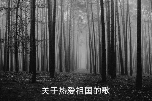 愛我中華歌曲，關于熱愛祖國的歌