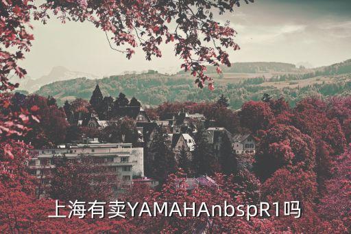 上海有賣YAMAHAnbspR1嗎