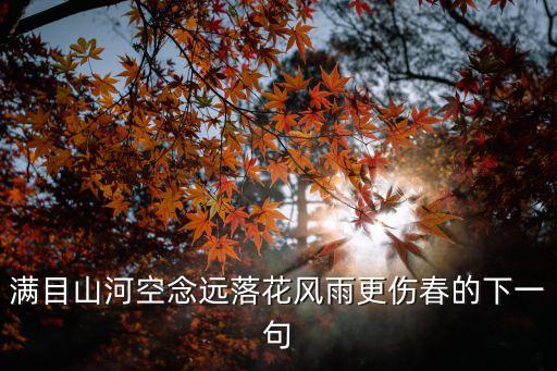 傷春的詩句，滿目山河空念遠落花風雨更傷春的下一句