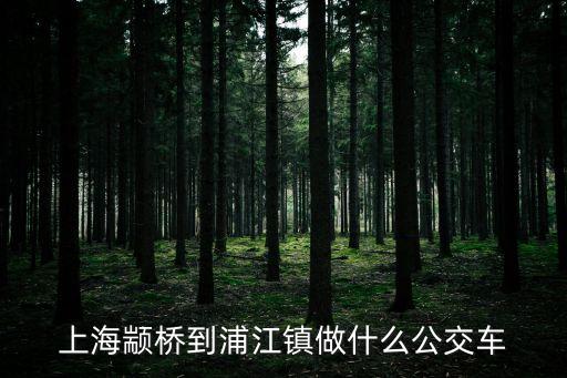 上海市黽橋乓衾植璨吞浦江鎮，上海顓橋到浦江鎮做什么公交車