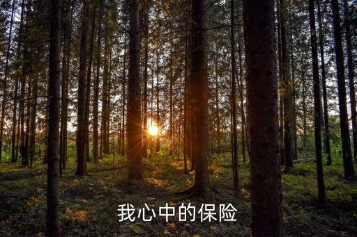 我心中的保險，我心中的保險是什么樣的