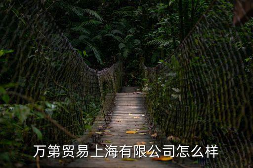 萬第貿(mào)易上海有限公司怎么樣