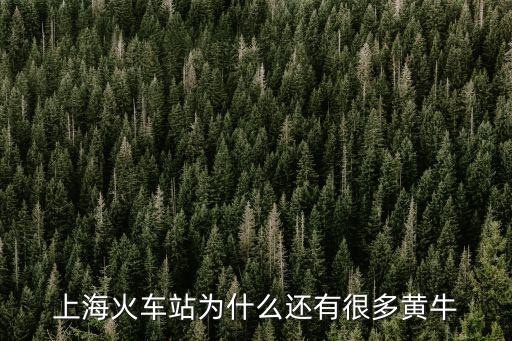 上海市貴州大黃牛，上海火車站為什么還有很多黃牛