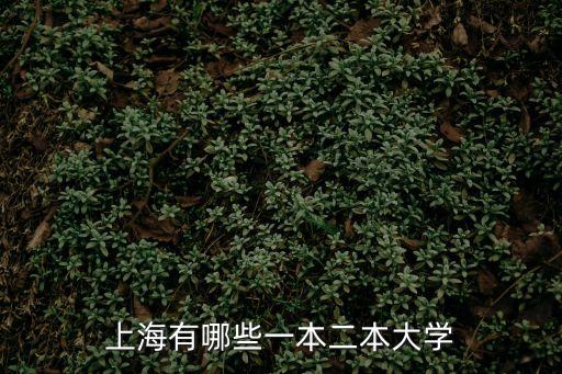 上海市一二本大學名單，上海有哪些一本二本大學