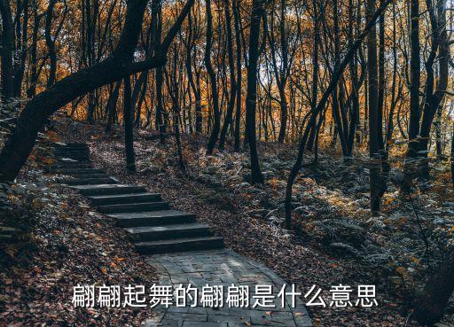翩翩飛舞的意思，翩翩起舞 翩翩的意思