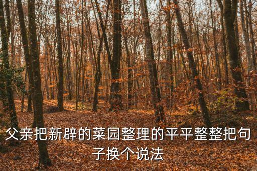 平平整整，父親把新辟的菜園整理的平平整整把句子換個(gè)說(shuō)法