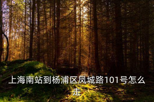 上海市鳳城路101號乘什么車，上海南站到楊浦區(qū)鳳城路101號怎么走