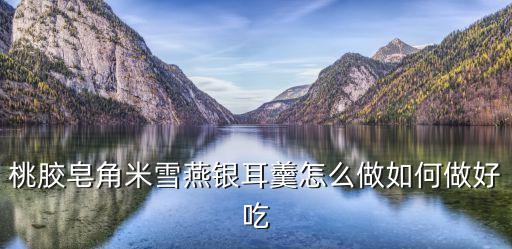 桃膠雪燕皂角米的做法，桃膠皂角米燉雪燕怎么做好吃