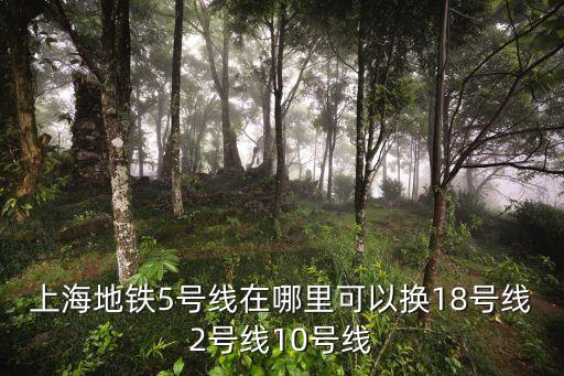 上海地鐵5號線在哪里可以換18號線2號線10號線