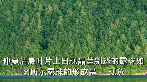 仲夏清晨葉片上出現(xiàn)晶瑩剔透的露珠如圖所示露珠的形成是     現(xiàn)象