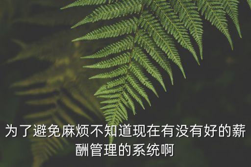 為了避免麻煩不知道現(xiàn)在有沒有好的薪酬管理的系統(tǒng)啊