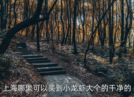 上海市小陸海鮮龍蝦麗都店，上海哪里的小龍蝦既好吃又實惠