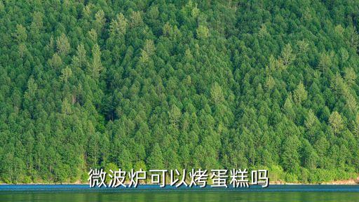微波爐可以烤蛋糕嗎