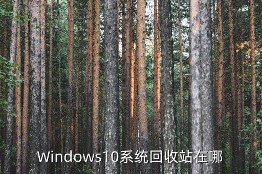 win10回收站，Windows10系統回收站在哪