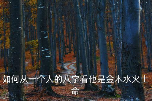 如何從一個人的八字看他是金木水火土命