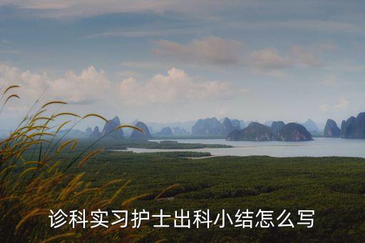 診科實習護士出科小結怎么寫