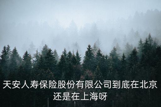 上海市浦東天安人壽支公司，天安人壽上海總部地址在什么路請問一下怎么查保單