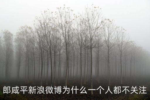 郎咸平新浪微博為什么一個人都不關注