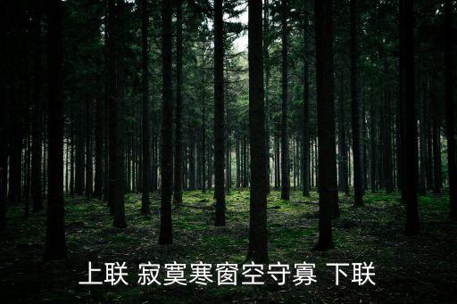 寂寞寒窗空守寡，上聯 寂寞寒窗空守寡 下聯