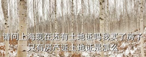 請問上海現在還有土地證嗎我買了房子只有房產證土地證是怎么