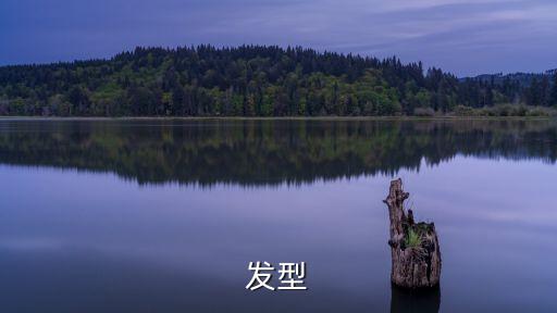 頭發(fā)發(fā)型，發(fā)型