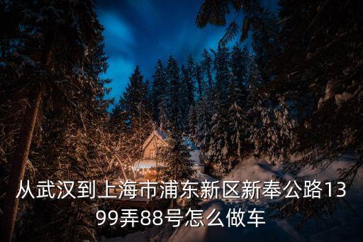 從武漢到上海市浦東新區新奉公路1399弄88號怎么做車