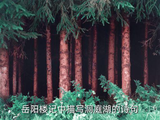 洞庭湖詩句，描寫洞庭湖詩句有哪些