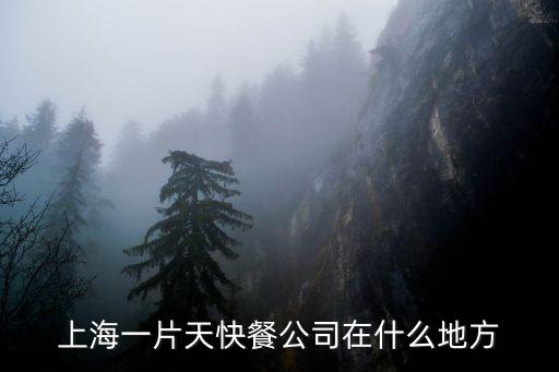 上海一片天快餐公司在什么地方