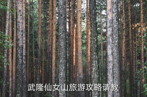 仙女山游玩攻略，武隆仙女山旅游攻略請教