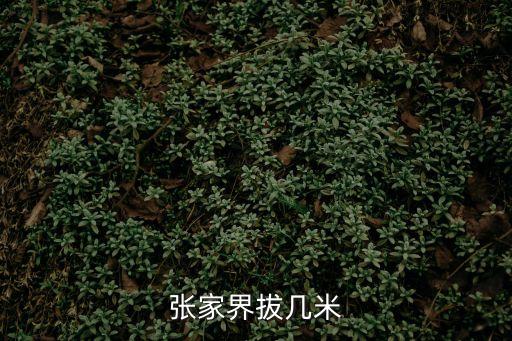 張家界拔幾米