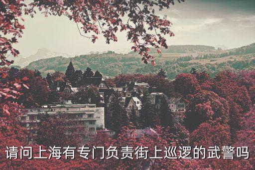 上海市十佳巡警名單，誰能提供下倫敦巴黎東京上海廣州這幾個(gè)城市的警察數(shù)量