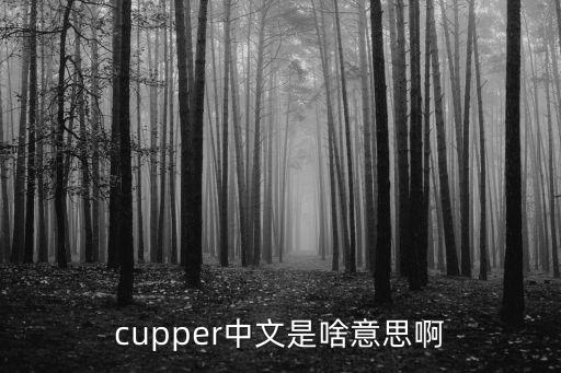 吊膀子是什么意思，cupper中文是啥意思啊