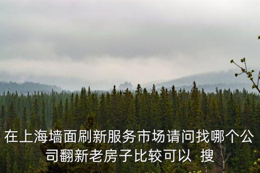 在上海墻面刷新服務市場請問找哪個公司翻新老房子比較可以  搜