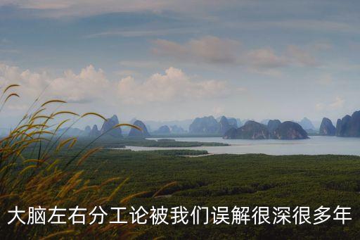 大腦左右分工論被我們誤解很深很多年