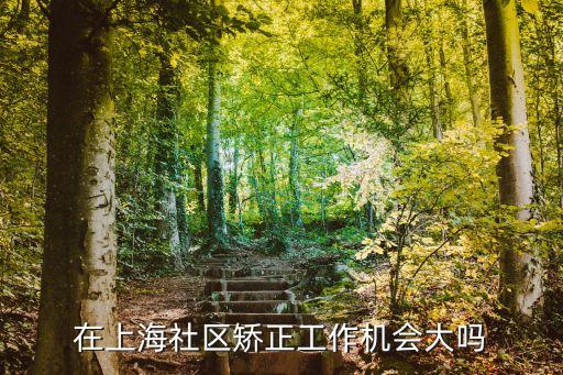在上海社區矯正工作機會大嗎