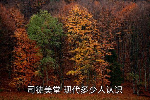 司徒美堂 現代多少人認識