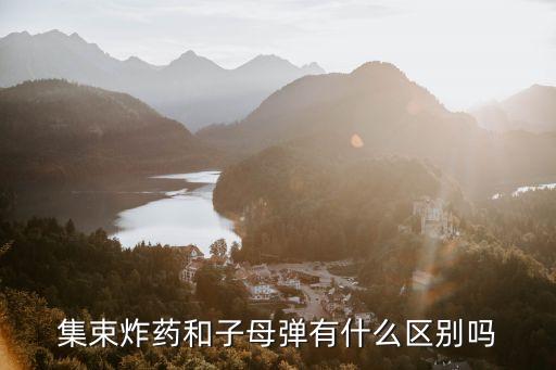 集束炸藥和子母彈有什么區(qū)別嗎