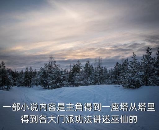 一部小說內容是主角得到一座塔從塔里得到各大門派功法講述巫仙的
