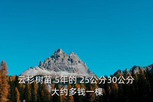 云杉樹苗，購買云杉樹苗的價格