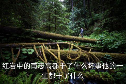甫志高，甫志高是誰啊