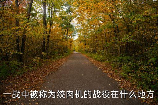 哈丁戰役，求部電影有個畫面是一個男人戴著銀面具