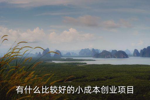 小成本創業項目，小本創業什么項目比較好呢