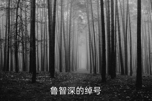 魯智深的綽號(hào)