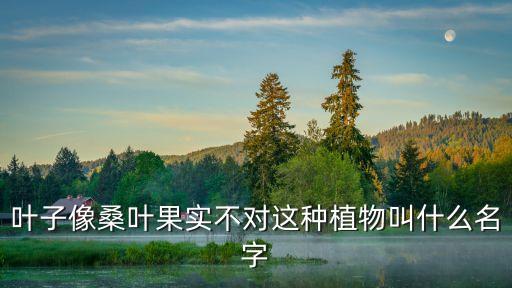 白花泡桐，開在大樹上的白花樹高有67米花都是下垂的花瓣里面有斑