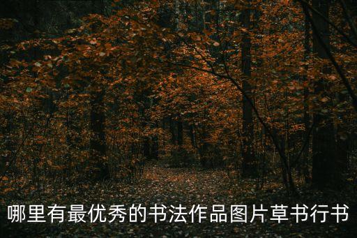 哪里有最優(yōu)秀的書法作品圖片草書行書