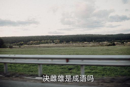 決一雌雄，決一雌雄是什么意思