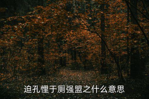 迫孔悝于廁強盟之什么意思