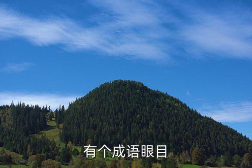 有個(gè)成語眼目